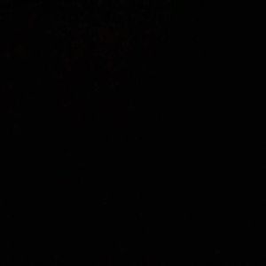 Meet your Posher, Raymond